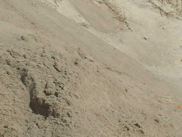 Речной песок для цемента