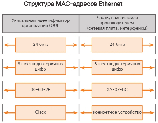 Структура MAC-адреса сетевого устройства