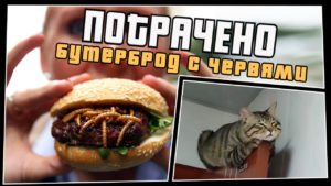 Видео Бутерброд с червями | ПОТРАЧЕНО